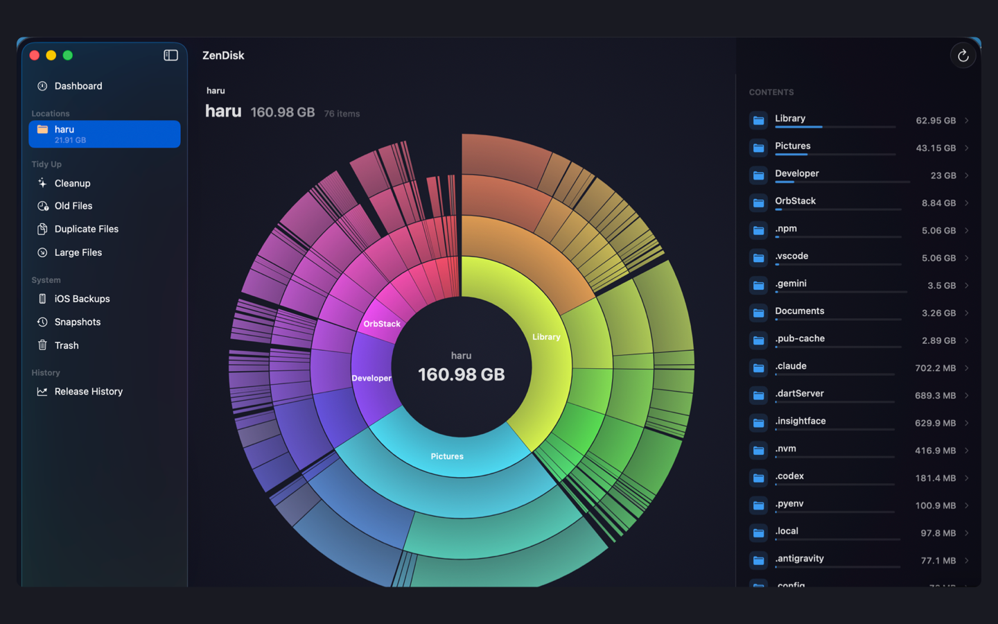 ZenDisk's sunburst chart of a 161 GB home folder, with a contents list beside it