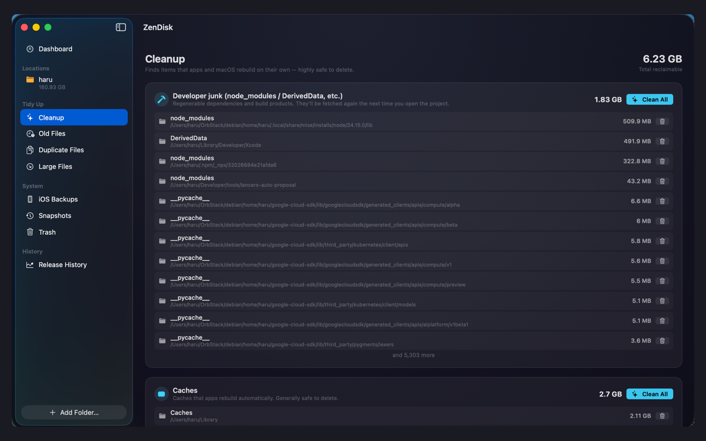 The Cleanup screen listing developer junk and caches, 6.23 GB reclaimable