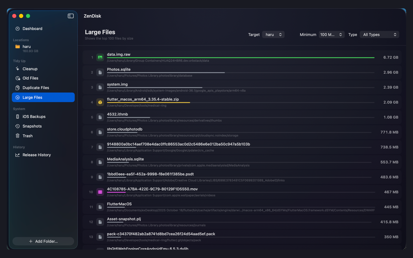 The Large Files screen ranking the biggest files on disk